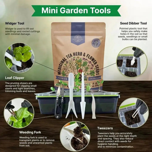 18 Medicinal Tea Herb & Flower Seeds Variety Pack for Planting Indoor & Outdoors. - Organo Republic