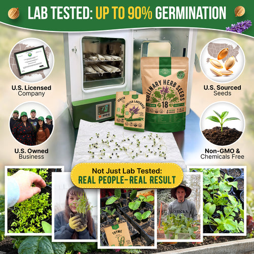 herb plant seeds Organo Republic 18 Culinary Herbs Seeds Variety Pack
