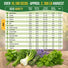 18 Culinary Herb Seeds Variety Pack