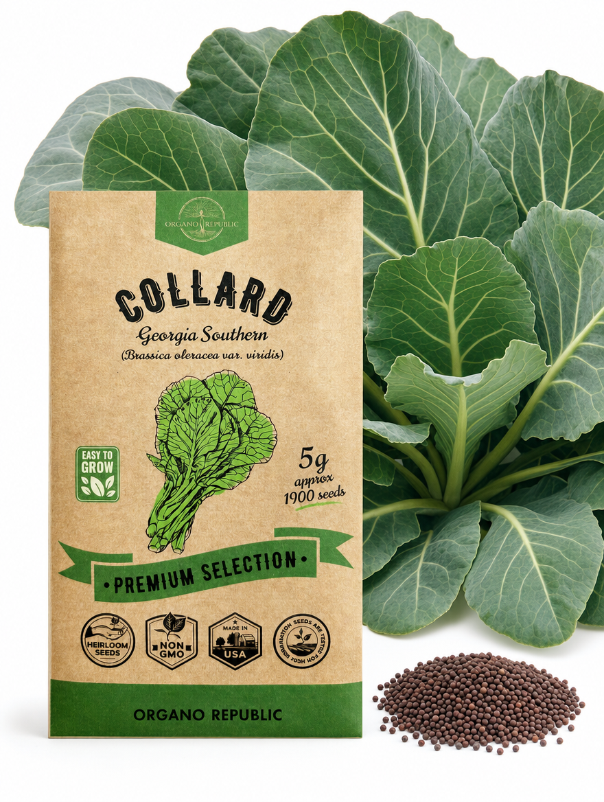 Collard Georgia Southern Seeds