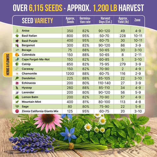 18 Medicinal Tea Herb & Flower Seeds Variety Pack