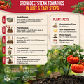 Red Beefsteak Tomato Seeds Pack 0.5G