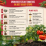 Red Beefsteak Tomato Seeds Pack 0.5G
