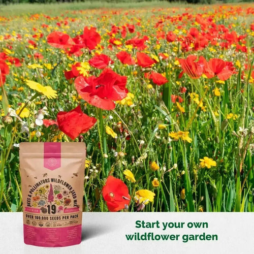 bee garden seed mix Organo Republic 19 Annual & Perennial Wildflower Seeds Mix for Attract Bees & Butterflies