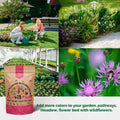 19 Bee Mix Wildflower Seeds Mix for Planting Indoor & Outdoors - Organo Republic