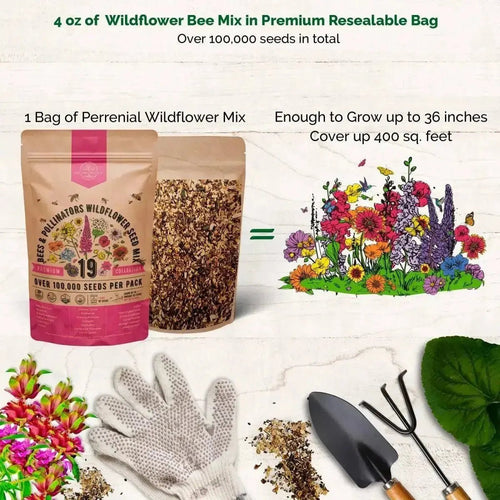 19 Bee Mix Wildflower Seeds Mix for Planting Indoor & Outdoors - Organo Republic