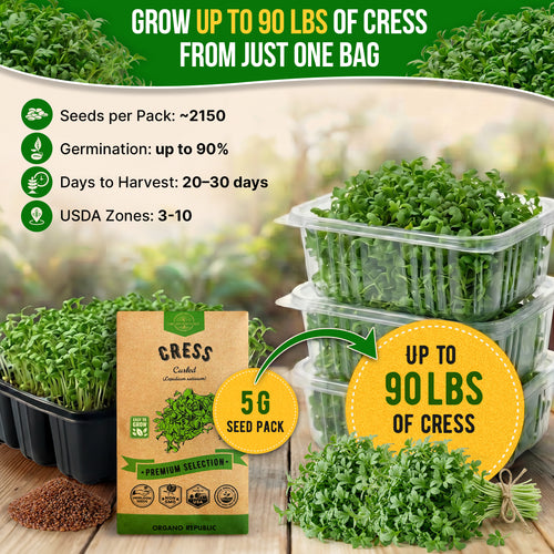 Curled Cress Seeds Pack 5G