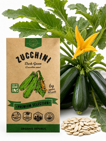 Dark Green Zucchini Seeds