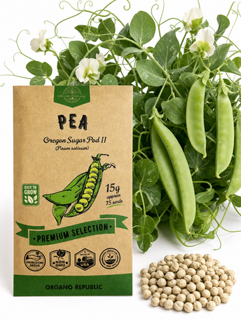 Pea Oregon Sugar Pod II Seeds
