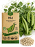 Pea Oregon Sugar Pod II Seeds