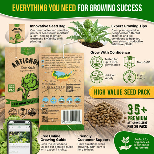 Green Globe Artichoke Seeds Pack 2G