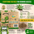 Green Globe Artichoke Seeds Pack 2G