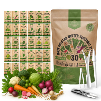 30 Most Popular Winter Vegetable Seeds Variety Pack
