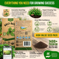 Holy Basil Seeds Pack 0.5G