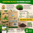 Holy Basil Seeds Pack 0.5G