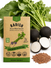 Radish Round Black Spanish Seeds
