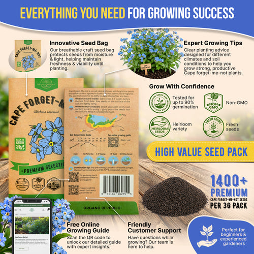 Cape Forget-Me-Not Seeds Pack 3G