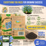 Cape Forget-Me-Not Seeds Pack 3G