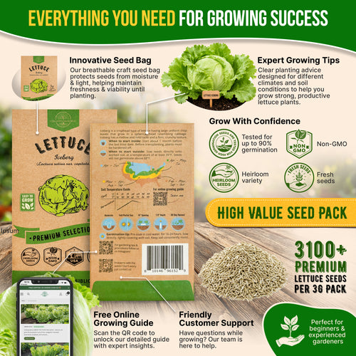 Lettuce Iceberg Seeds Pack 3G