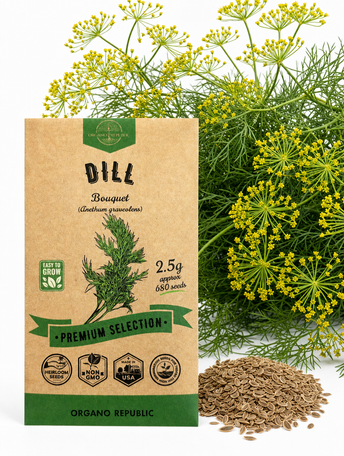 Dill Bouquet Seeds