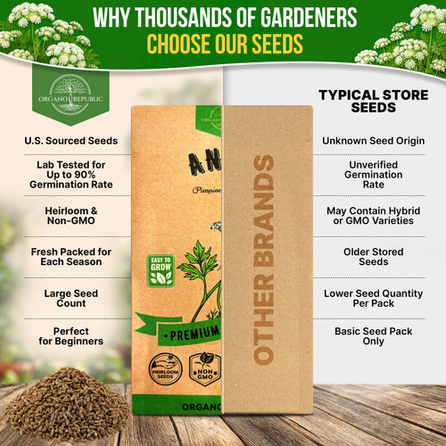 Anise Seeds Pack 5G