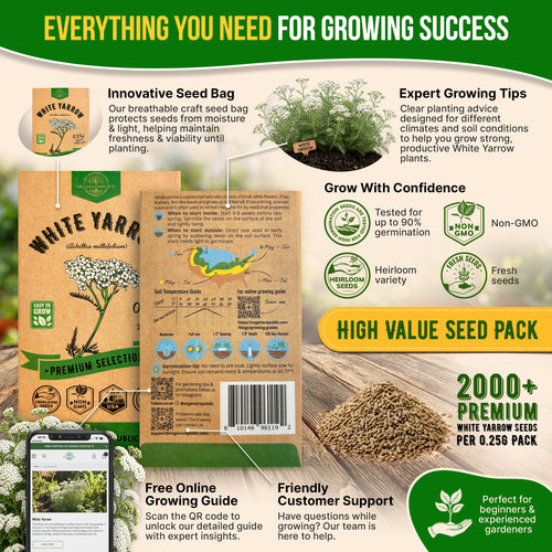 White Yarrow Seeds Pack 0.25G
