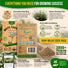 White Yarrow Seeds Pack 0.25G