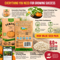 Pumpkin Connecticut Field Seeds Pack 10G