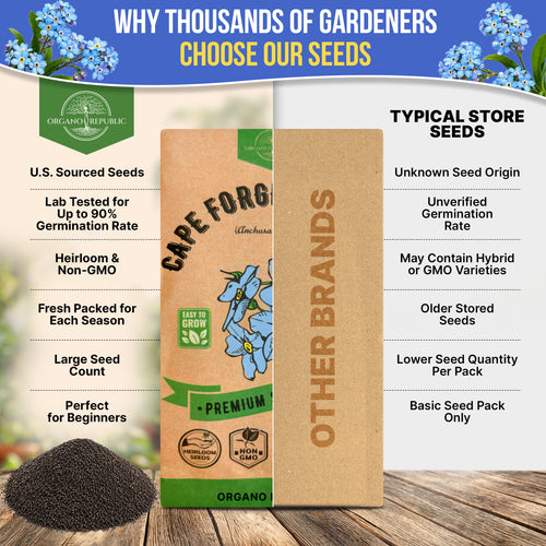 Cape Forget-Me-Not Seeds Pack 3G