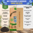 Cape Forget-Me-Not Seeds Pack 3G