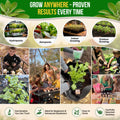 Sage Seeds Pack 1.5 G