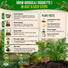 Arugula Roquette Seeds Pack 5G