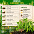 Pea Oregon Sugar Pod II Seeds Pack 15G