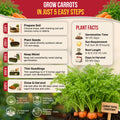 Carrot Royal Chantenay Seeds Pack 1G