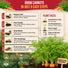Carrot Royal Chantenay Seeds Pack 1G