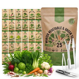 25 Winter Vegetable Seeds Variety Pack