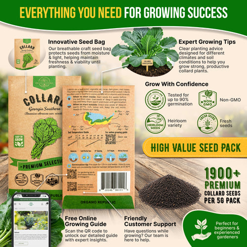 Collard Georgia Southern Seeds Pack 5G