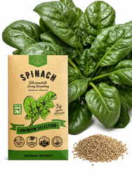 Spinach Bloomsdale Long Standing Seeds