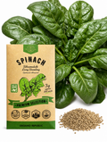Spinach Bloomsdale Long Standing Seeds