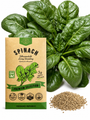 Spinach Bloomsdale Long Standing Seeds