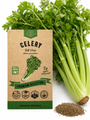 Tall Utah Celery Seeds
