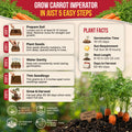 Imperator 58 Carrot Seeds Pack 2G
