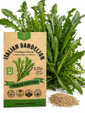 Italian Dandelion - Catalogna Chicory Seeds