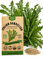 Italian Dandelion - Catalogna Chicory Seeds