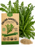 Italian Dandelion - Catalogna Chicory Seeds