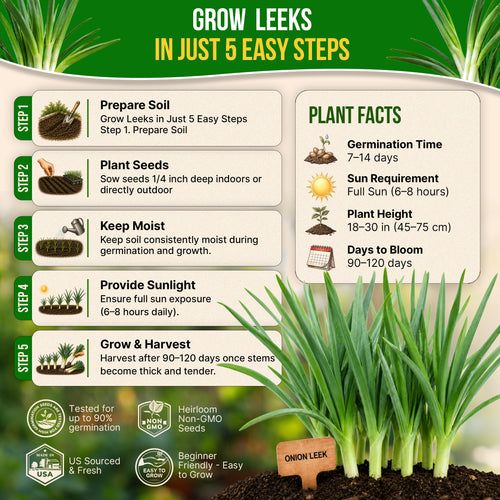 Onion Leek Seeds Pack 1G