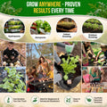 Arugula Roquette Seeds Pack 5G