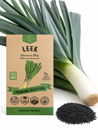 Onion Leek Seeds