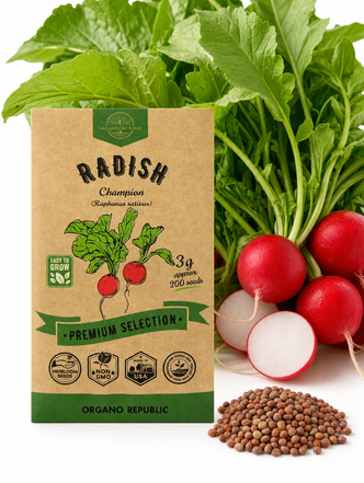 Radish Champion Seeds