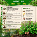 Holy Basil Seeds Pack 0.5G